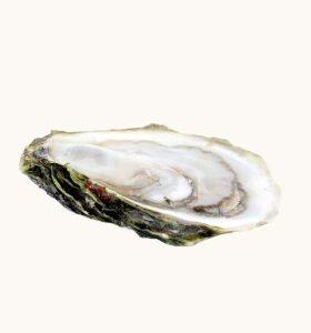 Venus Silver Necklace