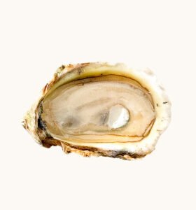 Venus Diamond Earrings